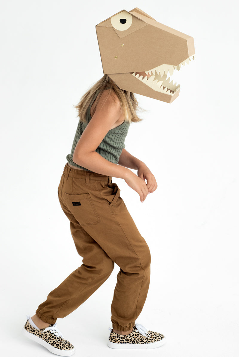 DIY Costumes - T Rex