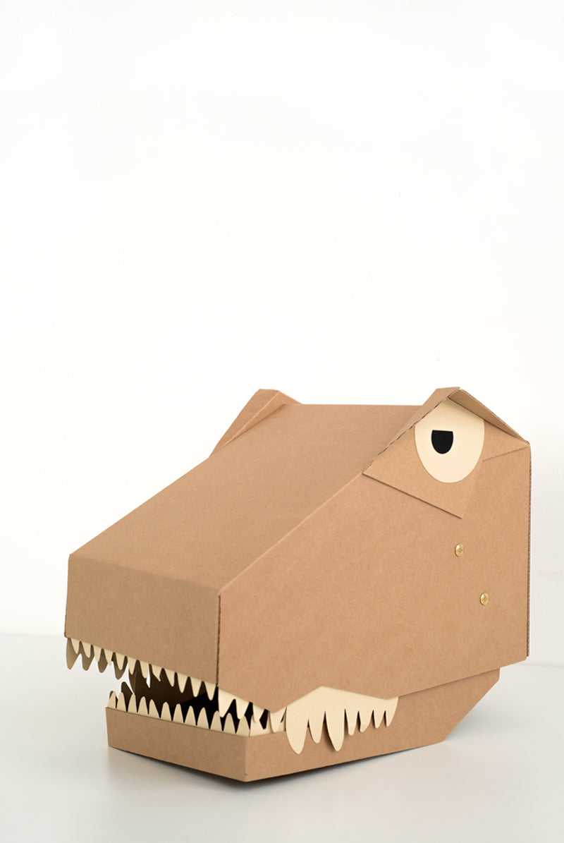 DIY Costumes - T Rex