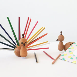 Peacock Pencil Holder